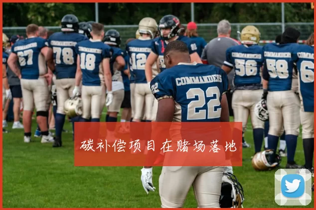 碳补偿项目在赌场落地