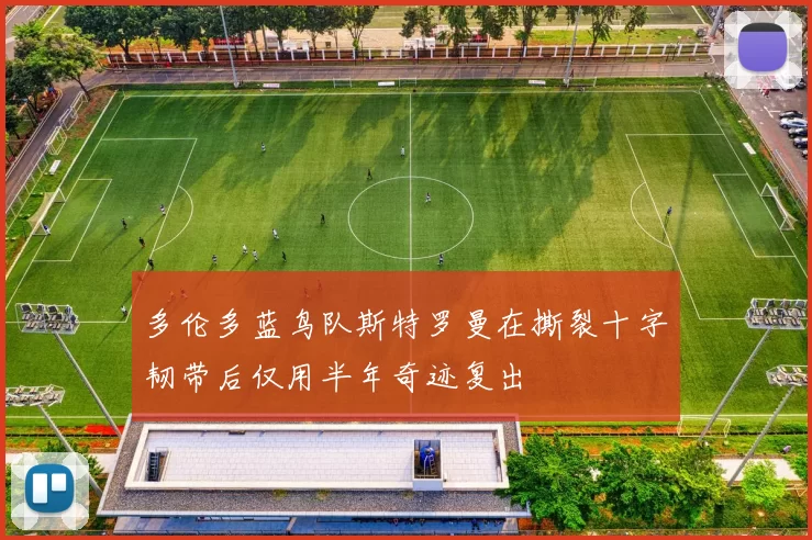 多伦多蓝鸟队斯特罗曼在撕裂十字韧带后仅用半年奇迹复出
