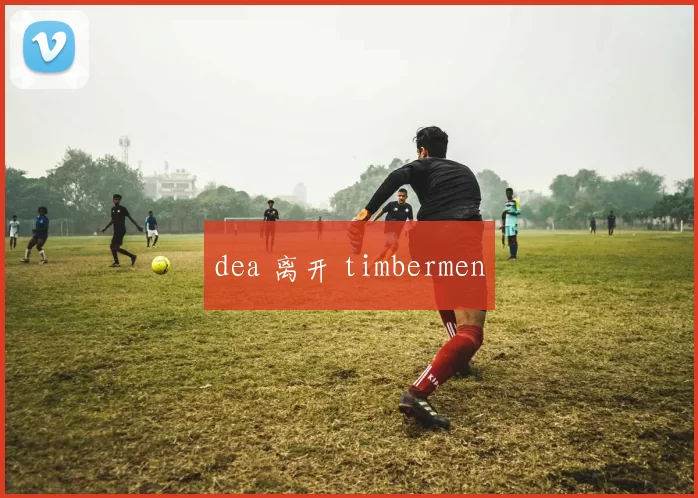 dea 离开 timbermen