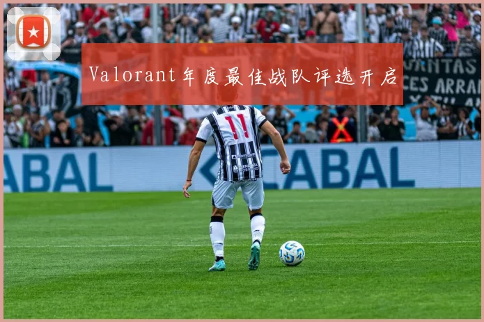 Valorant年度最佳战队评选开启