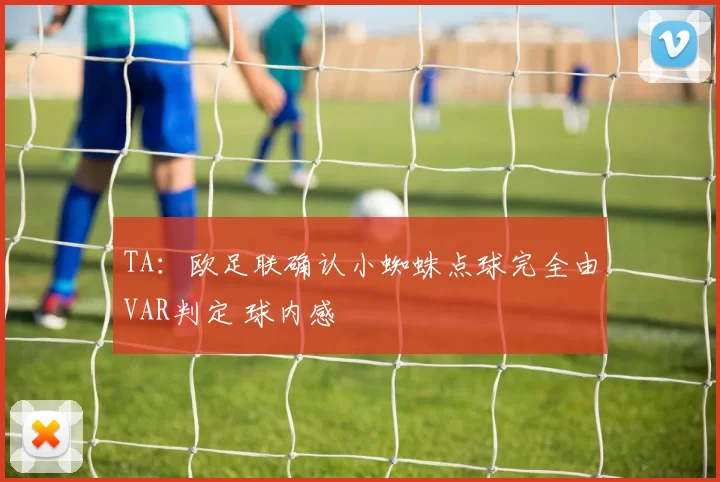 TA：欧足联确认小蜘蛛点球完全由VAR判定 球内感