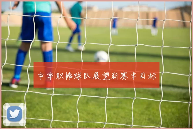 中华职棒球队展望新赛季目标